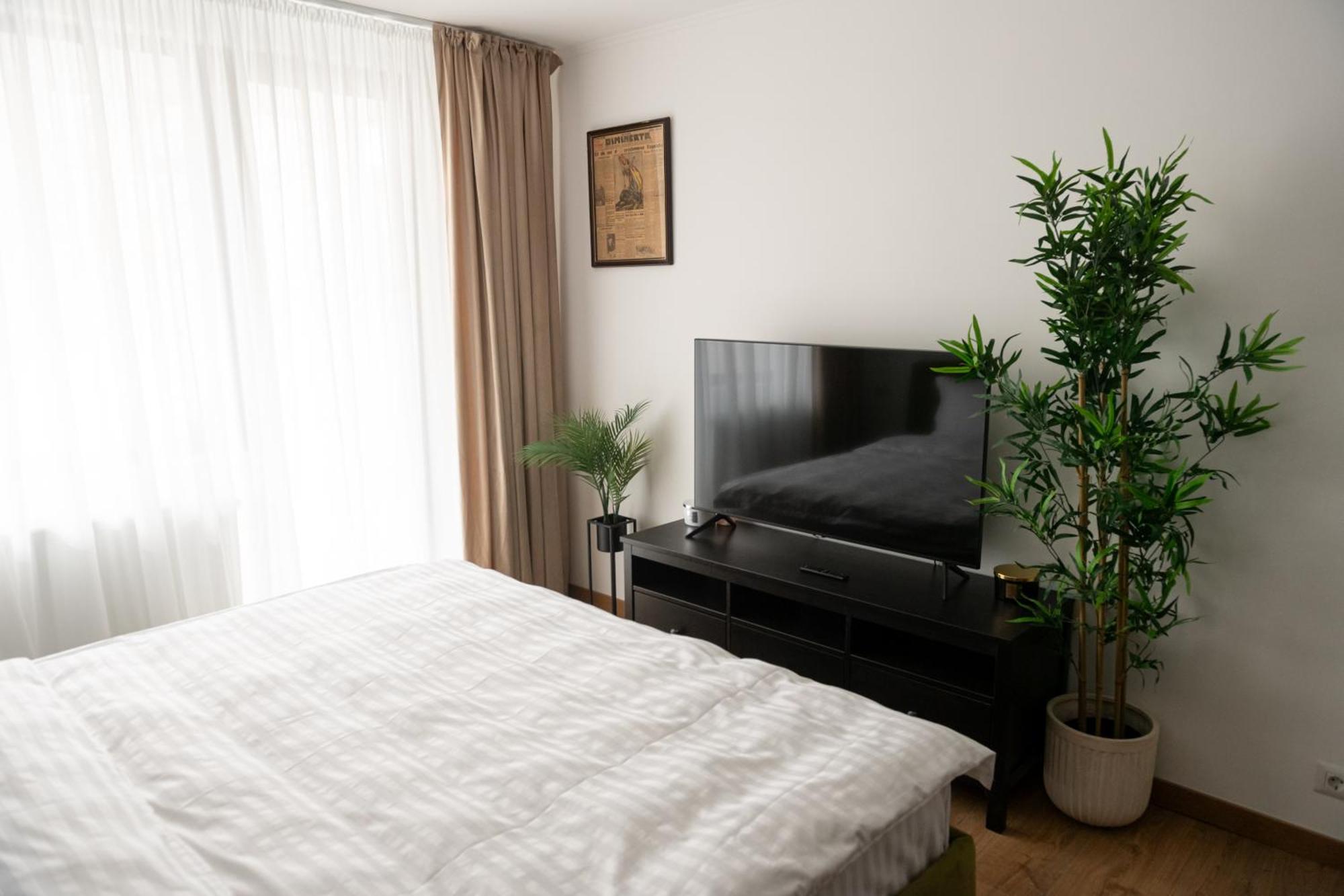 Apartment Scandinavia 2