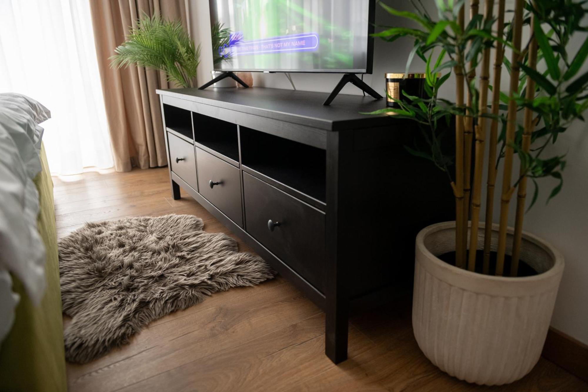 Apartment Scandinavia 2